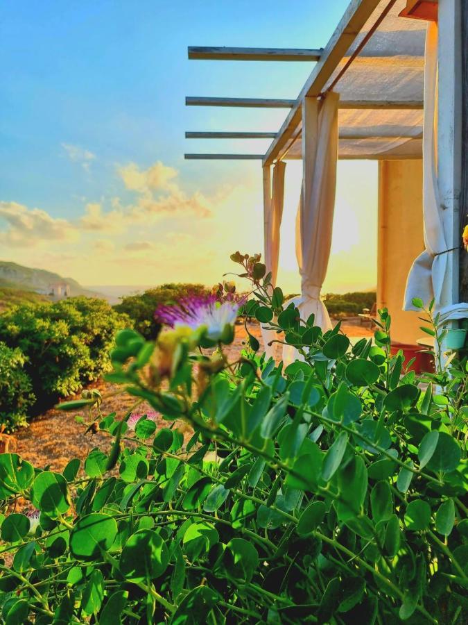 B&B Calata Di Soli Miniera dellʼArgentiera 외부 사진